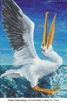 Pelikan Waterlanding